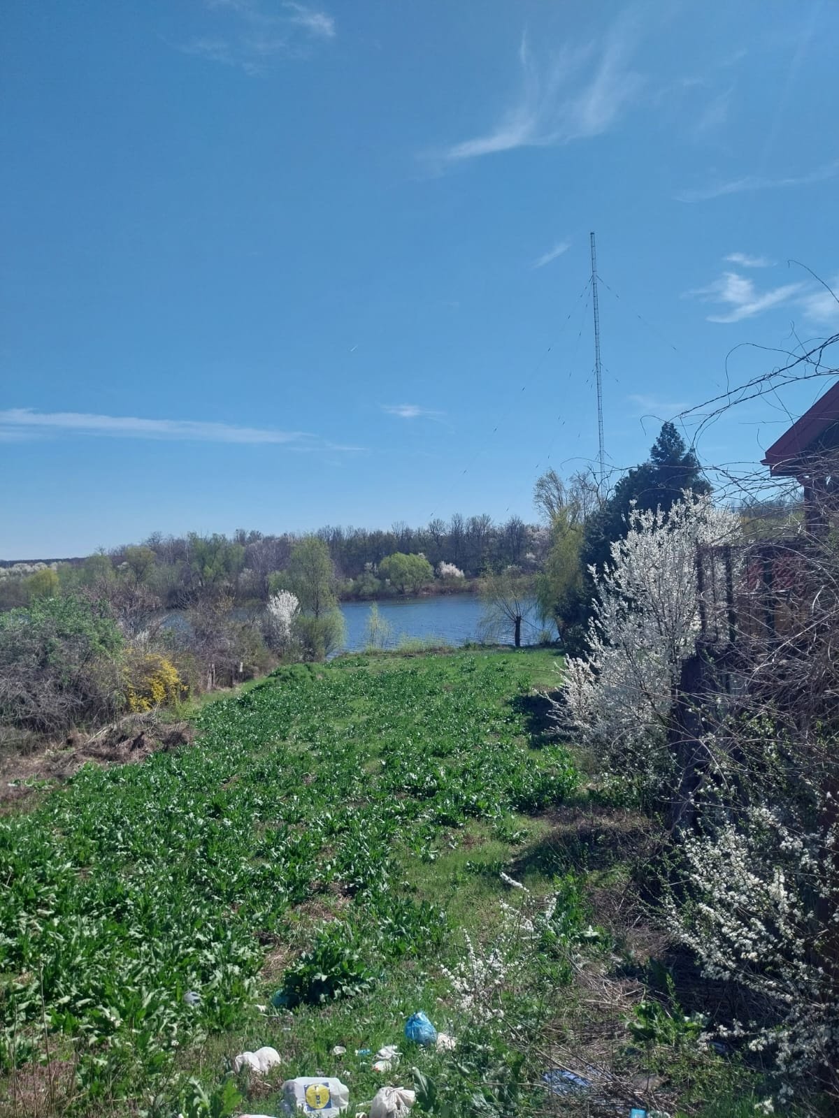 Teren intravilan de vânzare – Snagov, Strada Baicoianu | Deschidere la lac | 